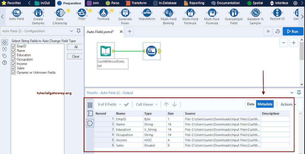 Auto Field Example 6