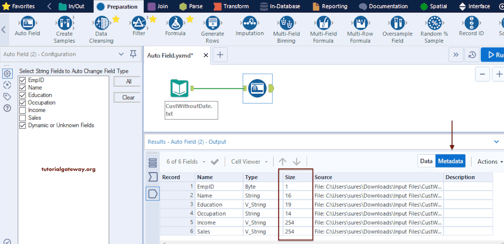 Auto Field to automatically change few columns data types