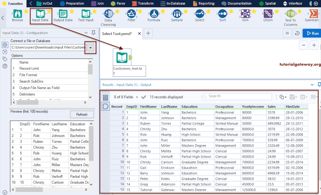 Choose the Input text or CSV file