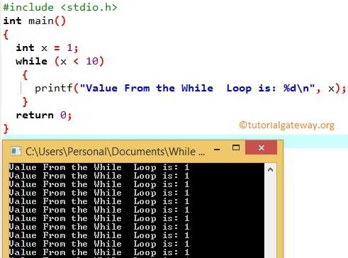Infinite While Loop Output