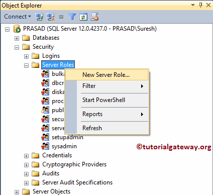 Create New SQL Server Role 2