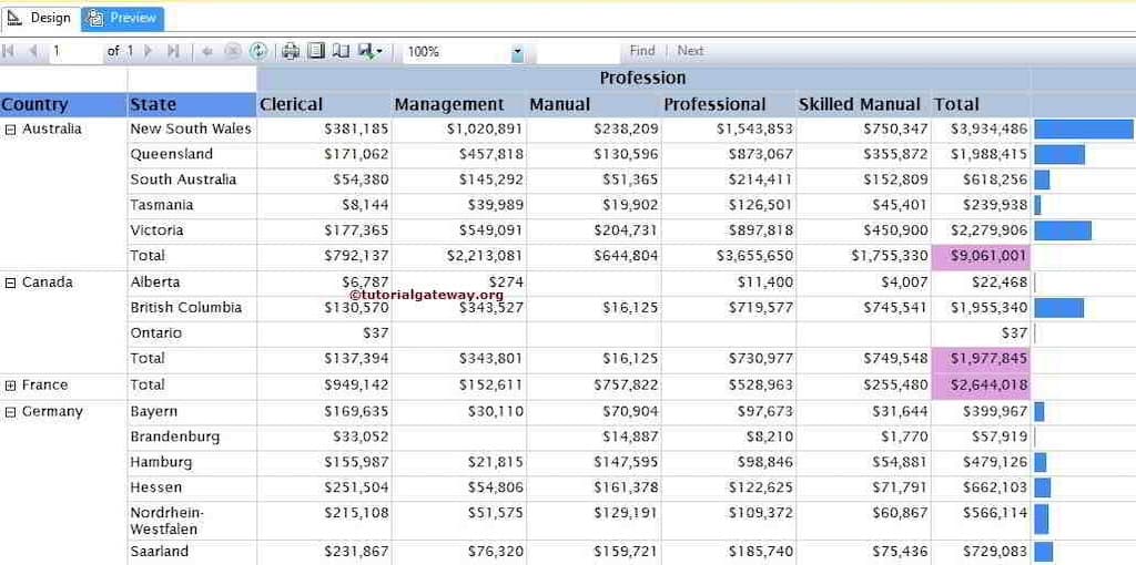 SSRS Data Bar in Matrix Report Preview