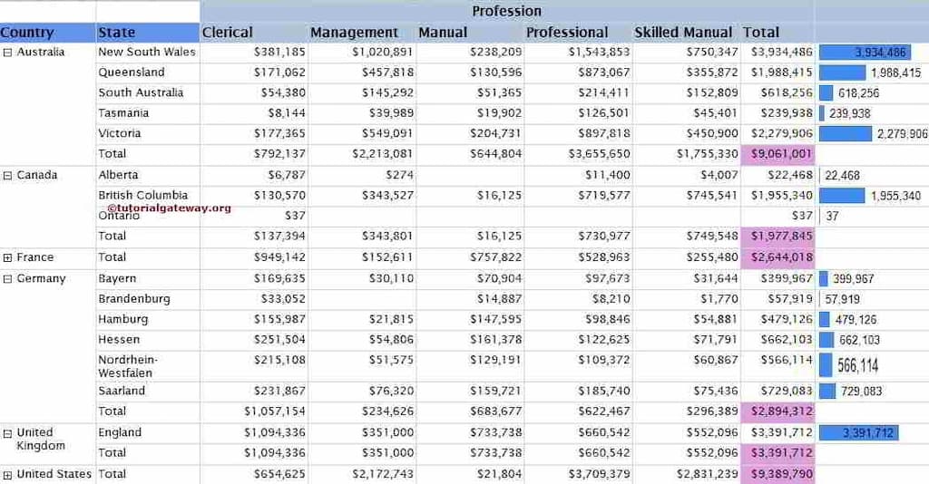 Data Bar in SSRS Matrix Report with Data Labels Preview