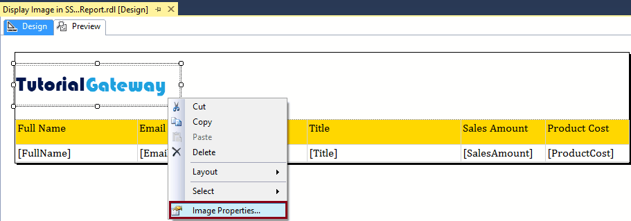 Display Image in a Report properties 13
