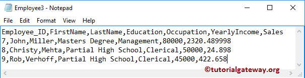 Employee Text File 3