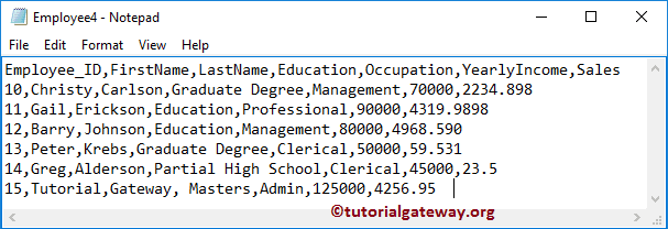 Employee Text File 4
