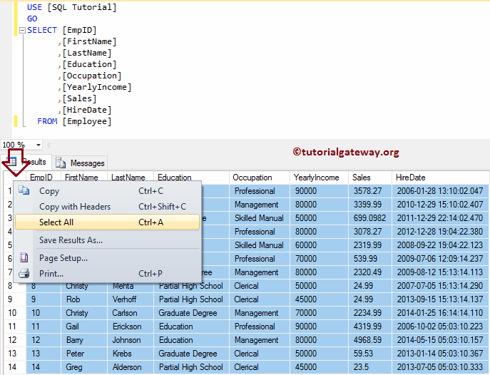 Copy the Result set in management Studio 2