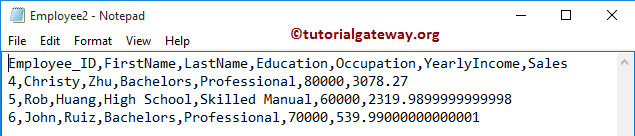 Employee Text File 2