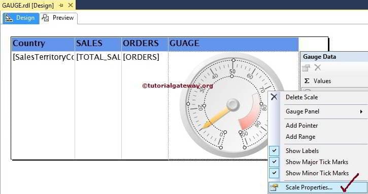 Radial Gauge Scale Properties 4