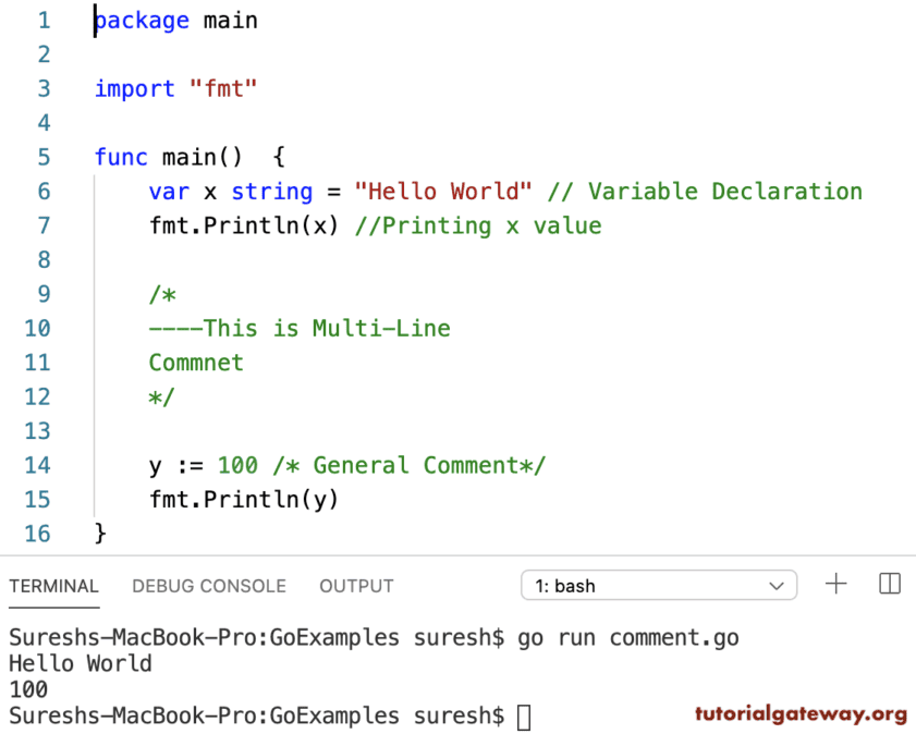 Golang Go Comments Example