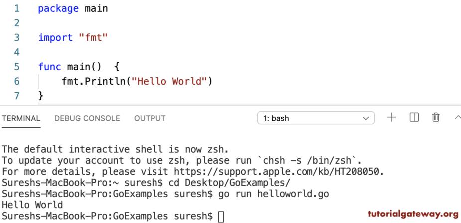 Go Hello World Program 1