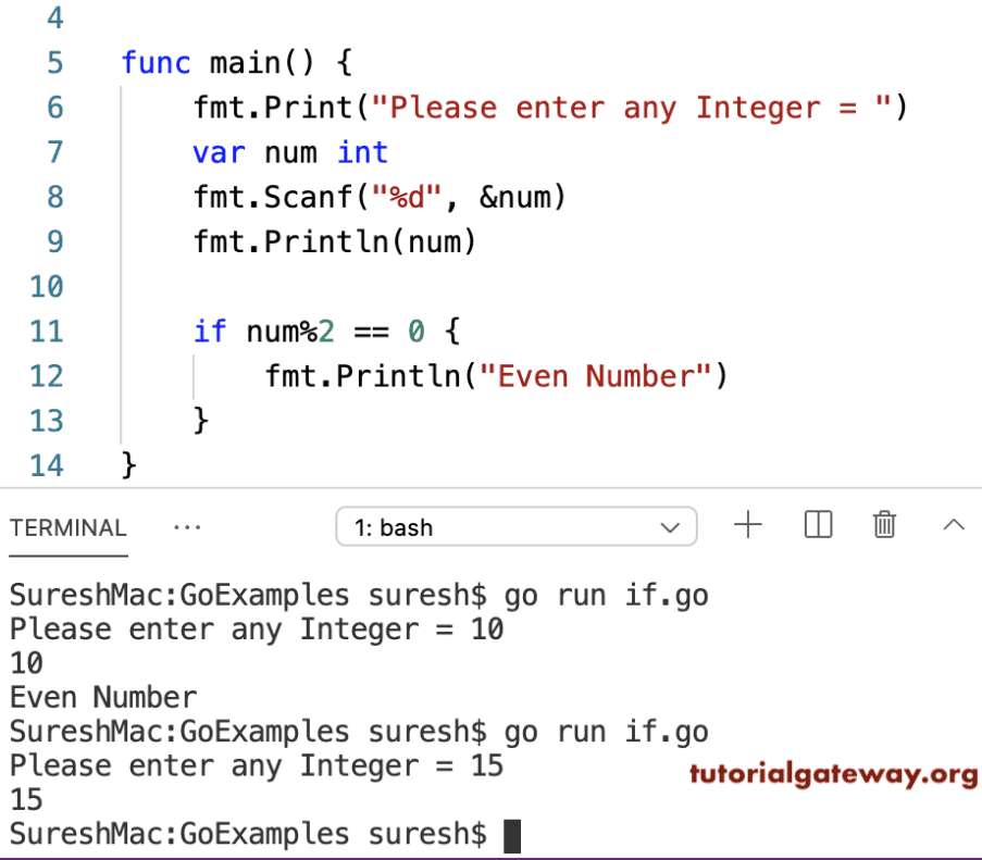 If Statement Example