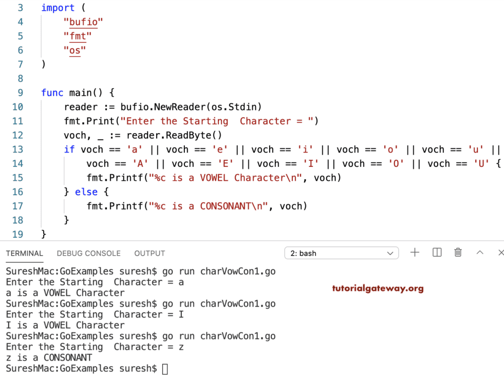 Go Program to Check Character is Vowel or Consonant