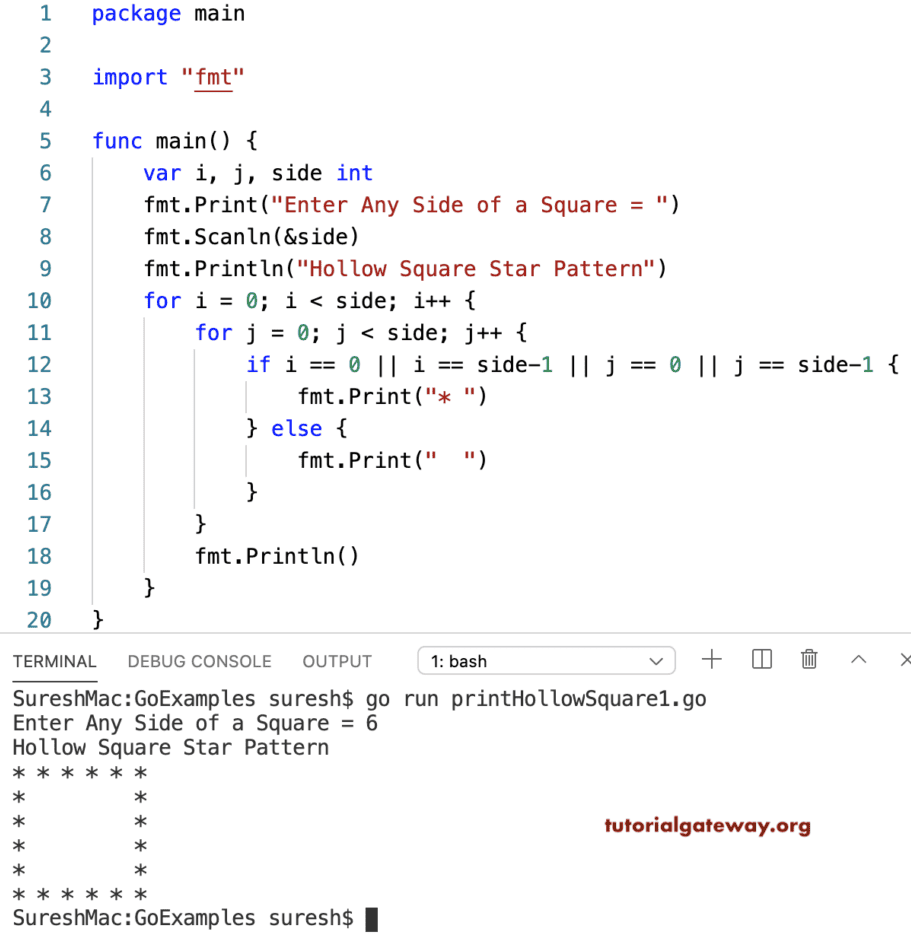 Go Program to Print Hollow Square Star Pattern