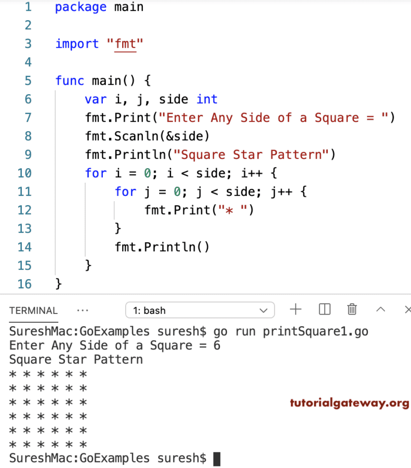 Go Program to Print Square Star Pattern