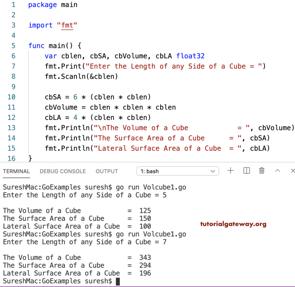 Go program to Find Volume and Surface Area of a Cube