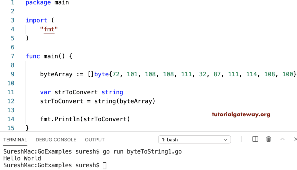 Byte to String Conversion Program