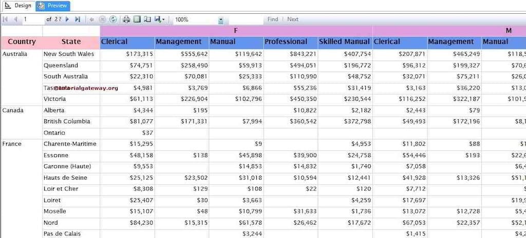 Grouping in SSRS Matrix Report 4