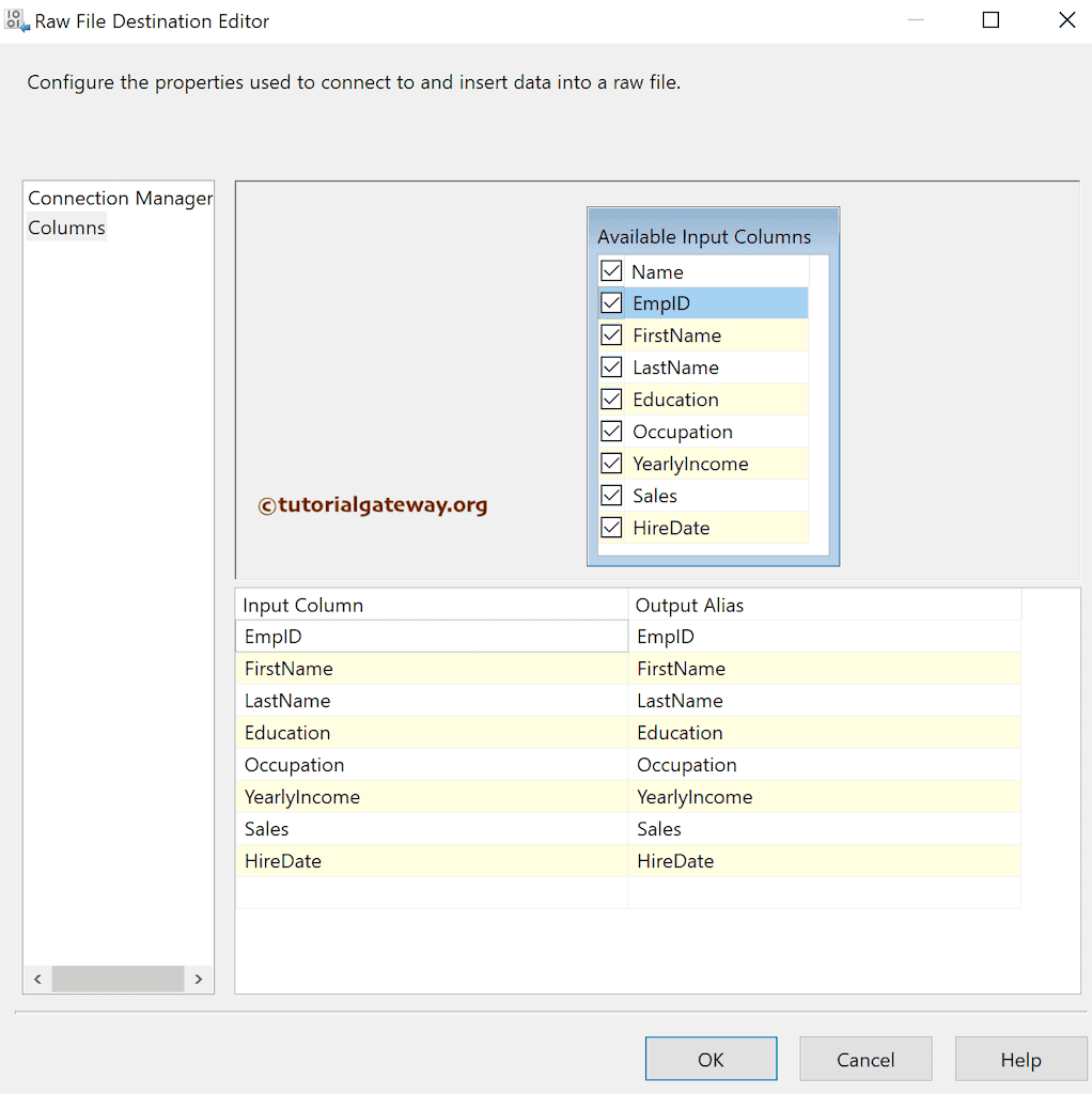 RAW File Destination Columns Tab