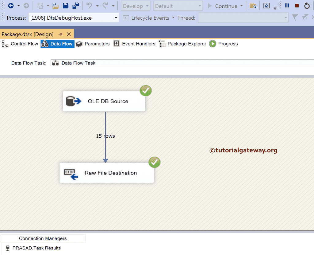 Run the SSIS Raw File Destination