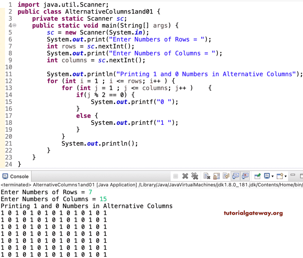 Java Program to Print 1 and 0 in Alternative Columns
