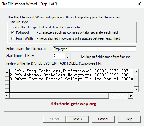 Flat File Import Wizard Step 1