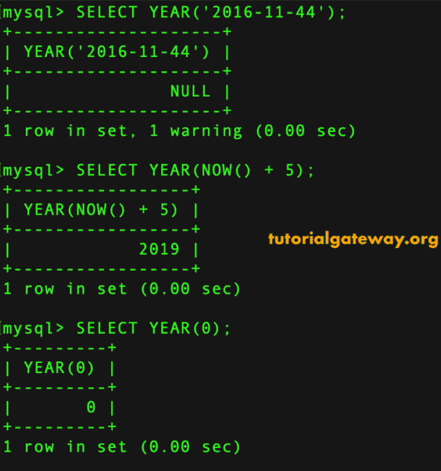 Year Function Example 4