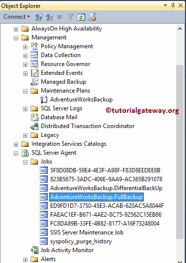 Backup Database Job under the Object Explorer