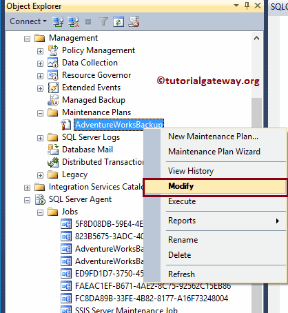 Modify Maintenance Plan 19
