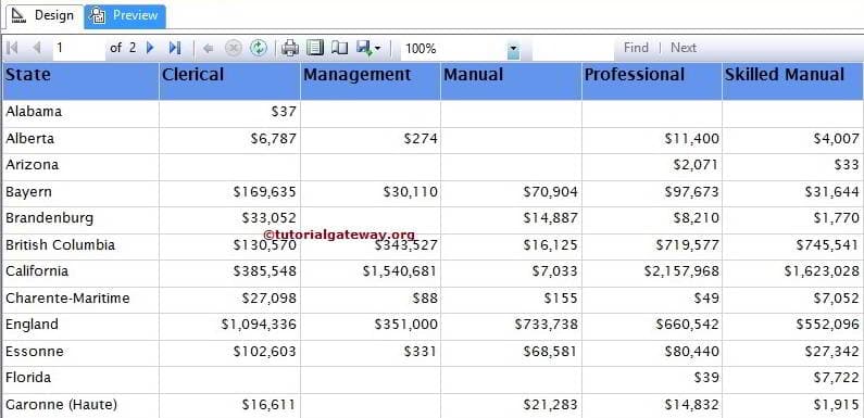 SSRS Matrix Report Preview 6