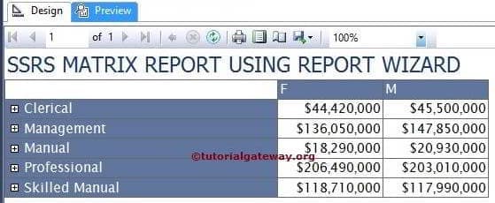 Matrix using Report Wizard 6