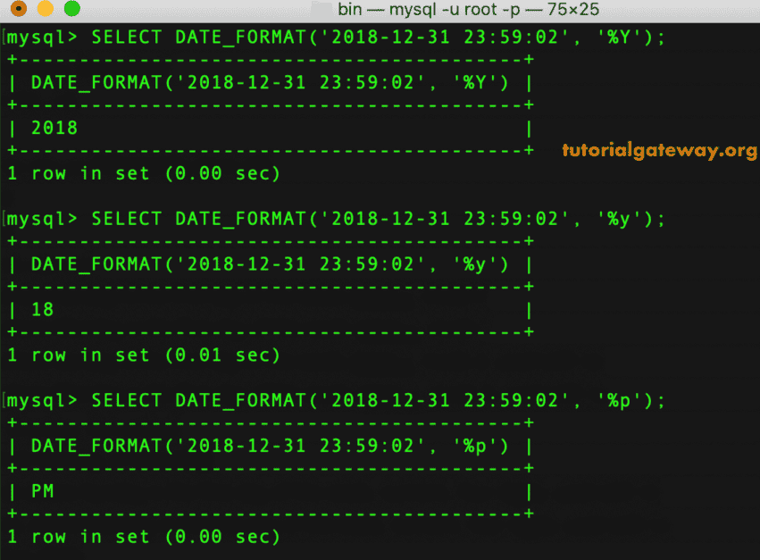 MySQL DATE_FORMAT Function 1