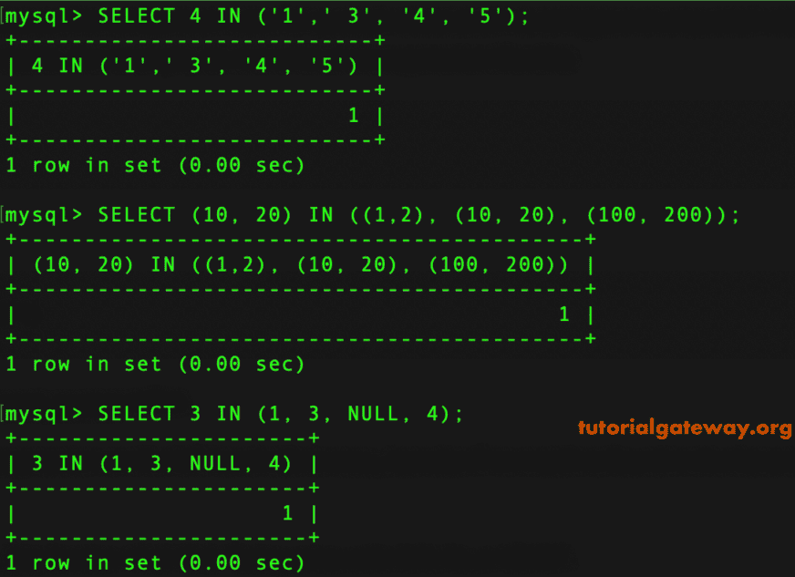 IN Operator Example 3