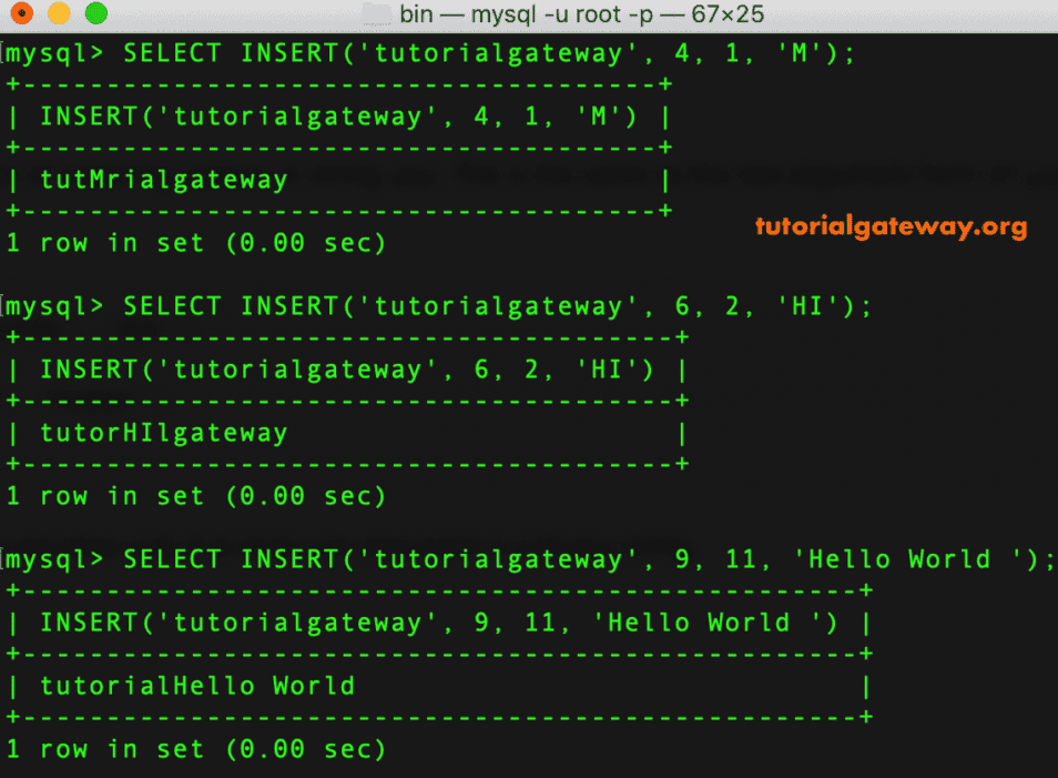 INSERT Function Example 1