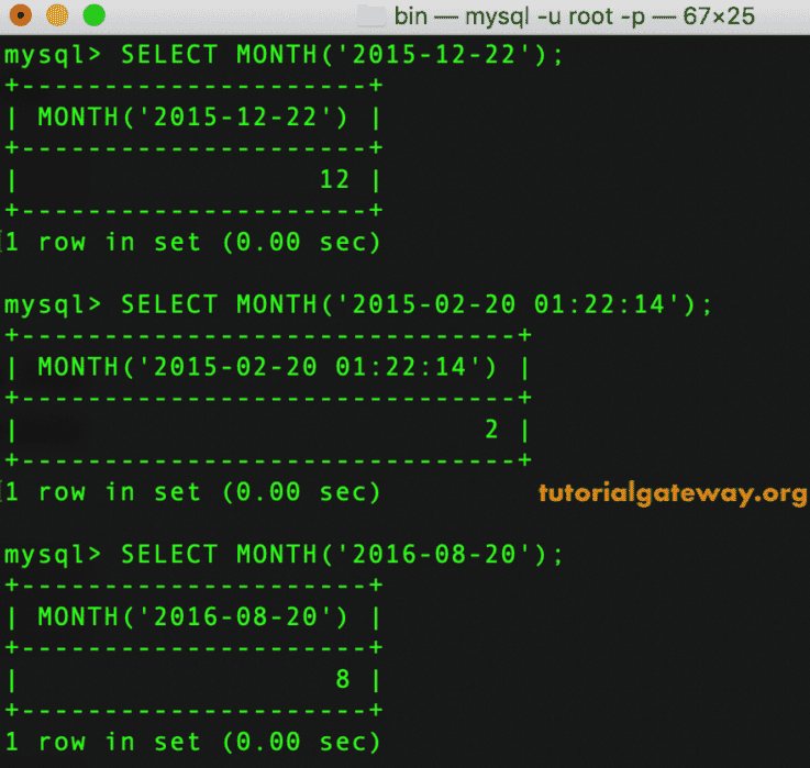 MONTH Function Example 1