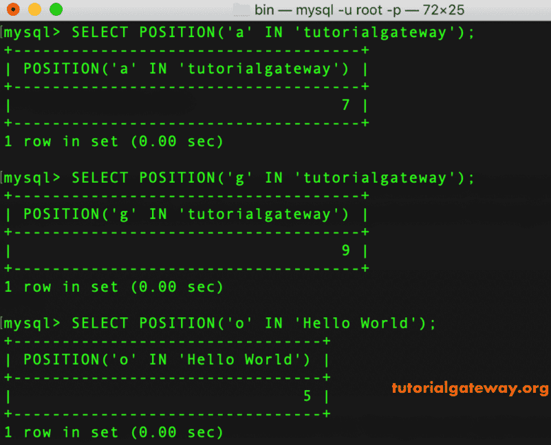 Position function Example 1