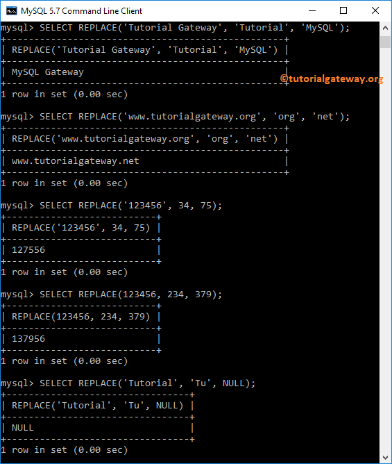 String REPLACE Function Nulls and Integers Example 1