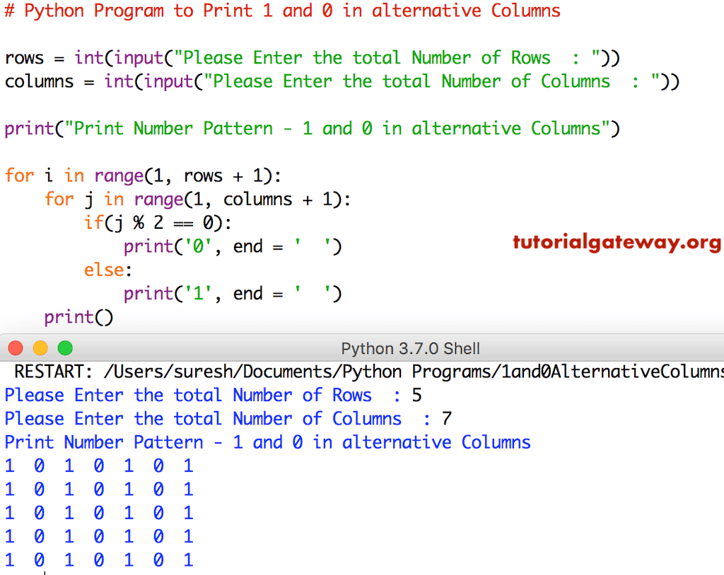 Python Program to Print 1 and 0 in alternative Columns