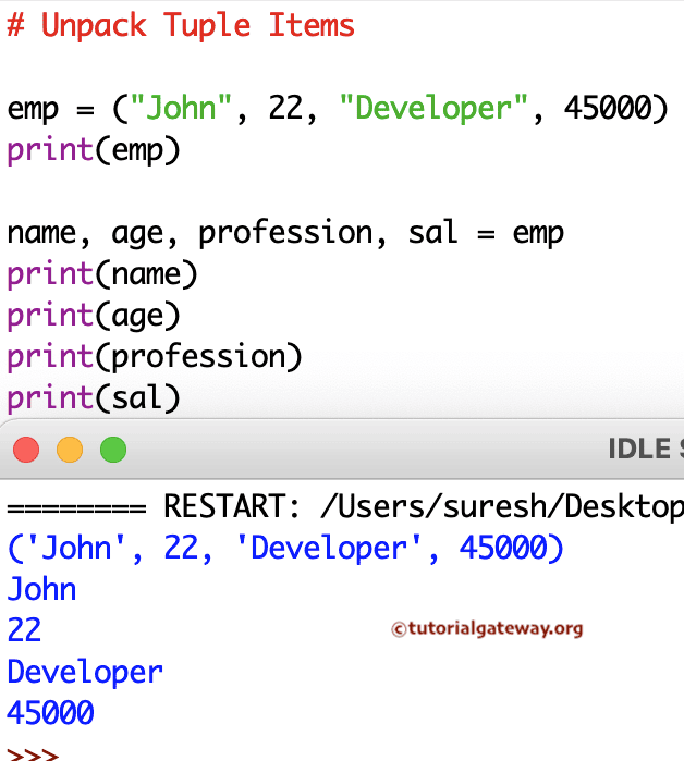 Program to Unpack Tuple Items