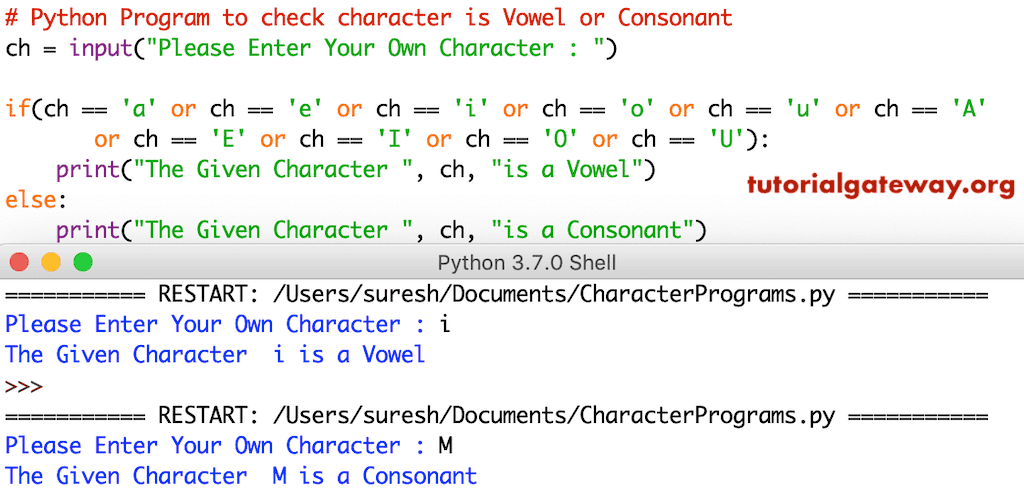 Program to check character is Vowel or Consonant