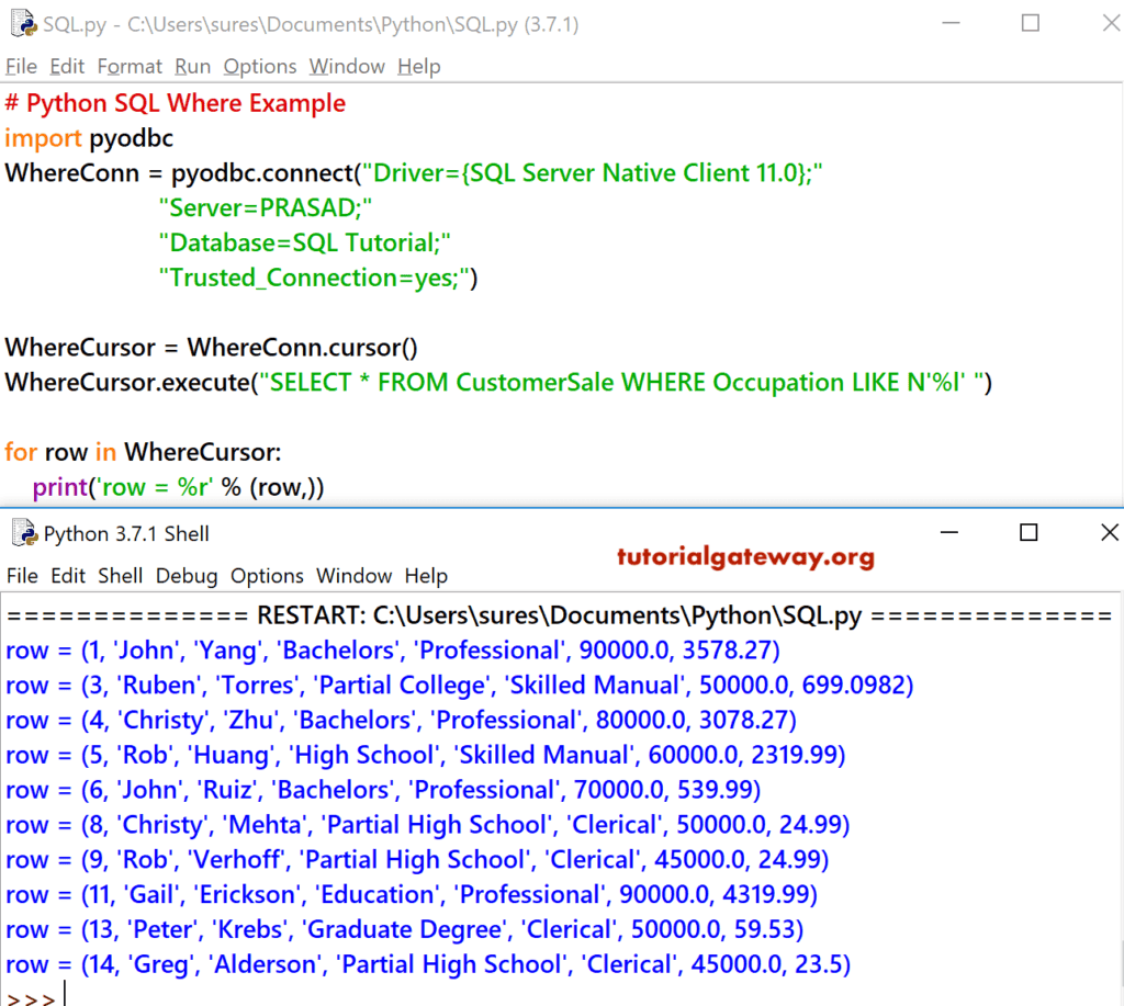 Where Clause Wildcards Example 3