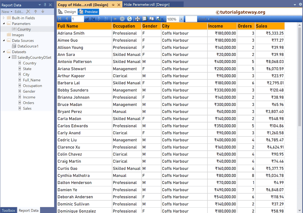 Hide Report Parameter Preview