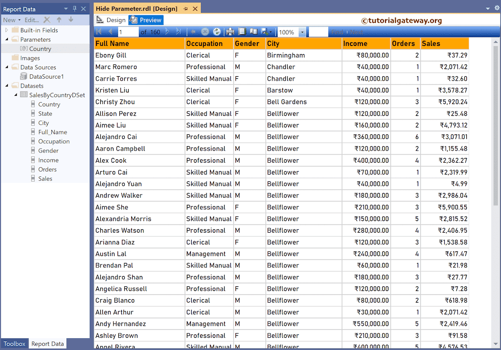 Hide Report Parameter Preview