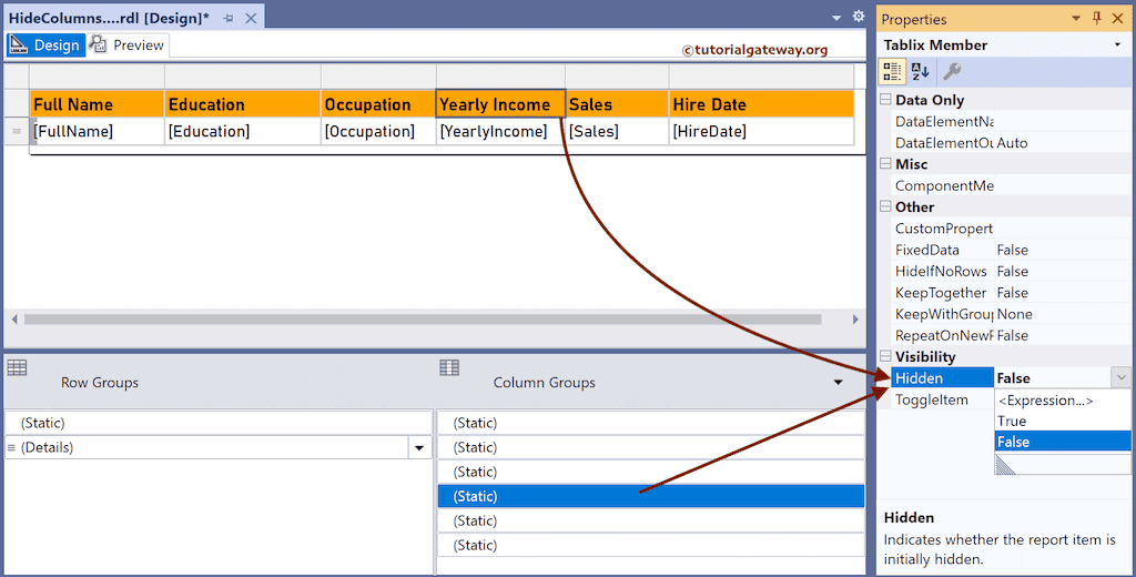 Visibility Expression