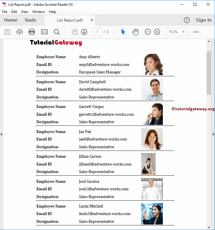 View Subscribed SSRS Report PDF Preview