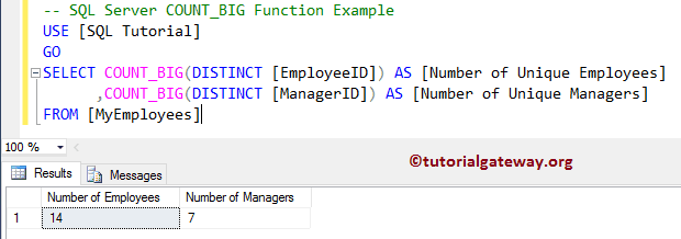 Unique COUNT BIG Function 4