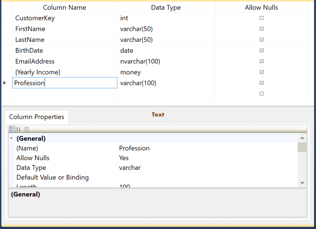 Add Column Names, Assign Data Types and Allow Nulls in the Designer Mode 12