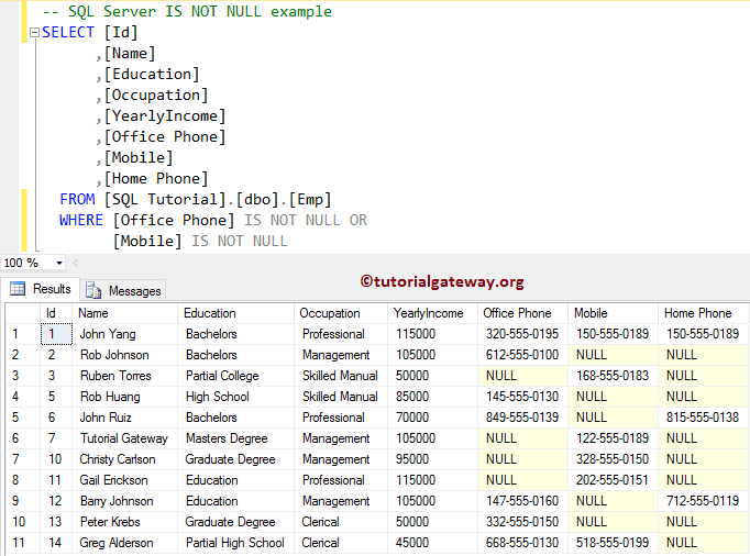 IS NOT NULL Example 4