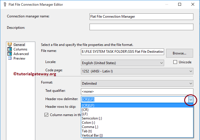 SSIS FLAT FILE Destination 8