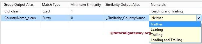 Fuzzy Grouping Transformation 8
